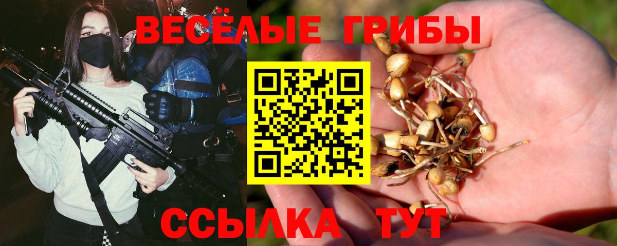 Псилоцибиновые грибы Cubensis Красноярск