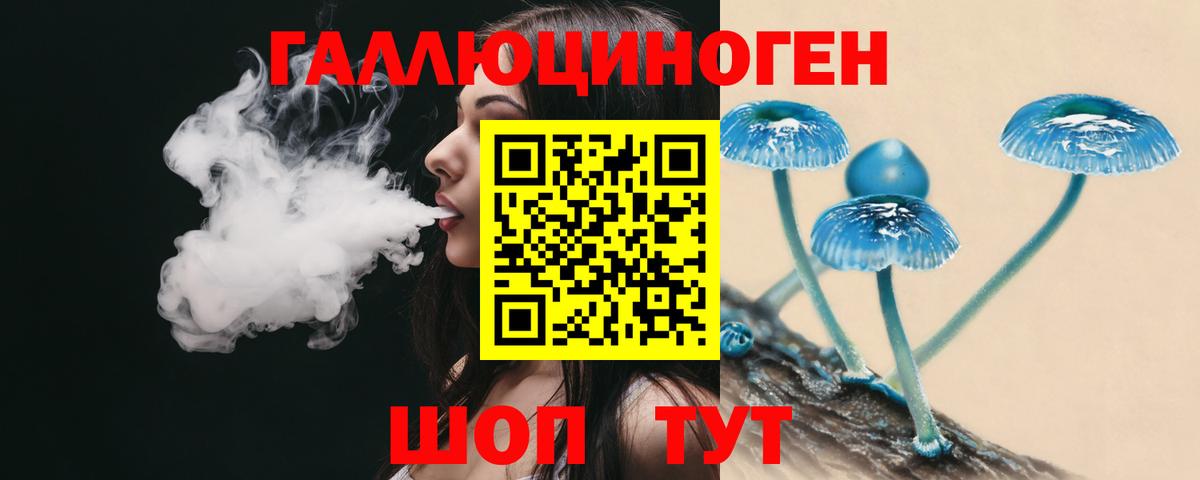 как найти закладки  Галлюциногенные грибы ЛСД  Вход с VPN  Псилоцибиновые грибы Psilocybine cubensis  Красноярск 